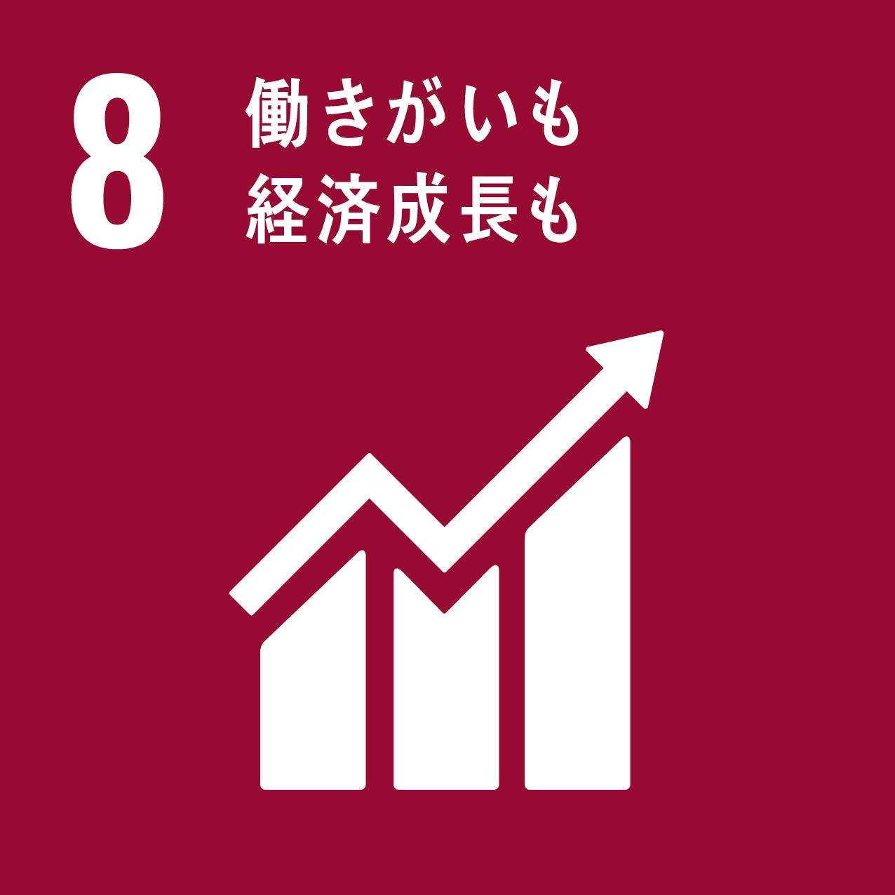 SDGs｜アイコン 08